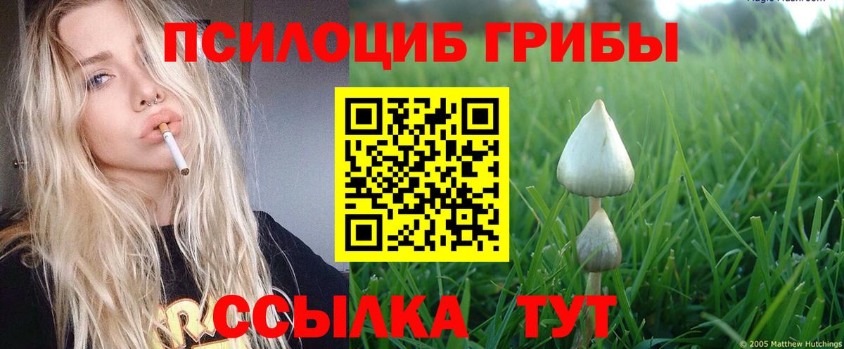 Ипатово  Псилоцибиновые грибы прущие грибы  Вход с VPN  Галлюциногенные грибы MAGIC MUSHROOMS 